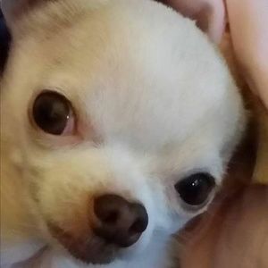 Meet your Posher, Sue